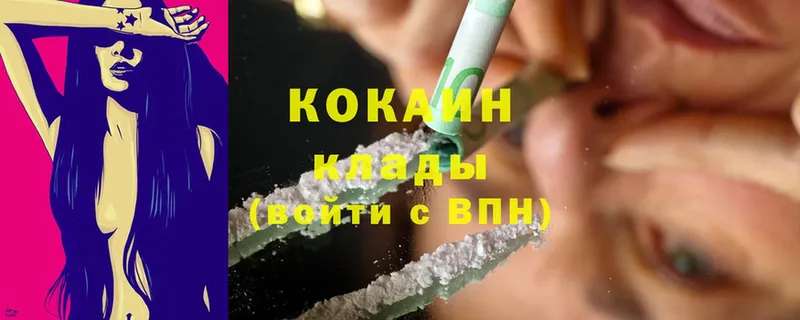 Cocaine Fish Scale  как найти закладки  Сорск 